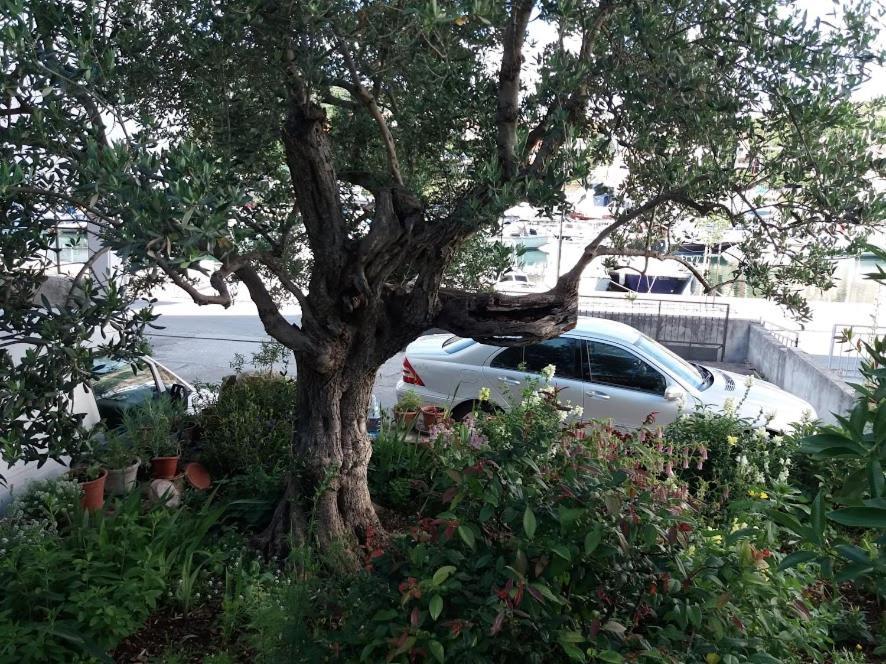 Apartmani Marta Marina Kültér fotó
